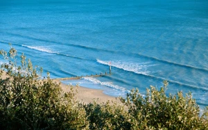 5e898c0f-4dcf-4597-b8fd-f5fc7432ac67