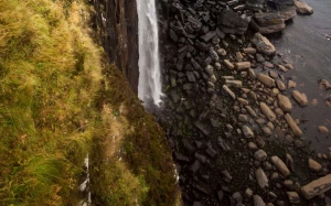 d01aef4c-d950-4cf5-b0b1-5bb7bb4114b8