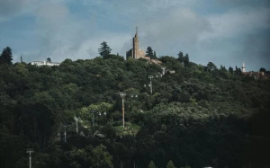 3457830a-6b74-4ad2-bc37-be499a6bc686