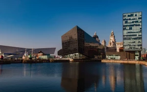 a6f44937-7e90-475e-8a76-6b1f8d2e00e5