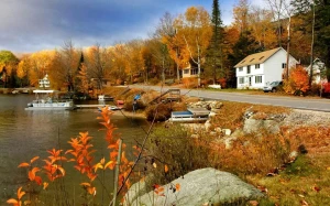 542e31e2-f218-470f-a5c1-0a2adf8ffbfc