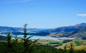 2779422e-1b00-486c-a8e9-d6cbc4af1391