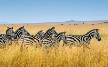 19f1215c-17be-452b-b8e9-609ea4c2f381