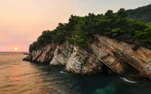 bd8a58f6-44fe-4100-b80f-bc5accf374c2