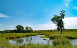 e34e63a3-3a56-436a-b48c-17cd186759f5