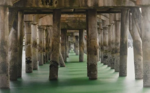 366ab7ef-4f9a-415d-a5ab-e86a3fcc9585