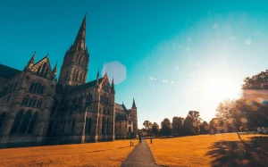 e2d995a9-628e-4b78-9bef-3403ebac64e8