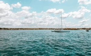 caa61bb4-3041-4429-8911-eb977f56f5cf