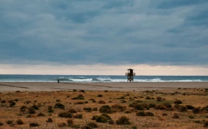 6d919383-ab96-4932-83c2-5ab5f5607bc0