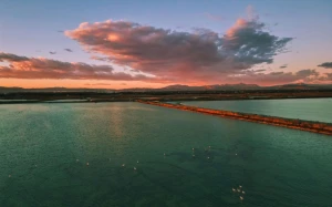 defbbd43-3984-45f8-b056-a20691074262