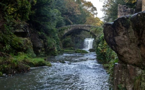 83ba2416-9ec4-4af1-88a4-30ba62b5a6dc