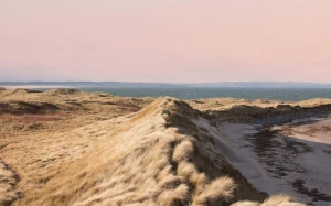 7380c36d-99b3-4fe7-96bb-a2b614b5485d