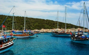 89abd531-d80b-4471-b5ad-eb4cd0e80e71