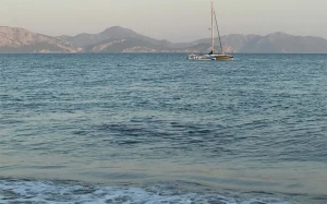 b94bfed9-4617-4b4e-958e-3e21018fd2a7