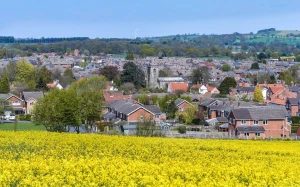 a448b6ff-9ef9-46d4-97f4-6d0b536a2789