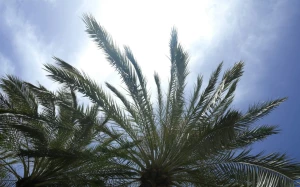 1b89b2ea-688f-4520-bfeb-6ab09d39c16f