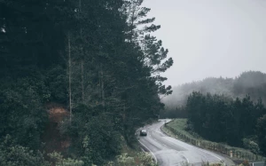 8e991773-826e-4b63-83f2-3ef0ea76a0a2