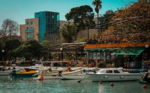 716bf33f-f377-4066-9043-c69465d8b8e0