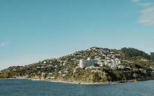 3f8e3783-0eec-4d18-9938-3ef85c73b369