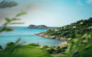 8be2c3ba-3353-4cdf-8edb-44303ef7bde5