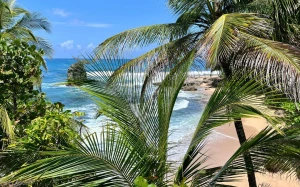 d1ee76de-edbc-43a5-b626-d1c20ff978d3