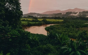 39288db8-740b-4d83-b525-4f96b78830a1