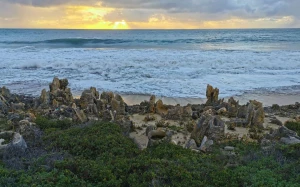 b8405bec-0ebc-4f33-8350-42788107dcb1