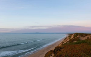 5bdd772a-a061-4ec4-a4d1-377c13bc71e1