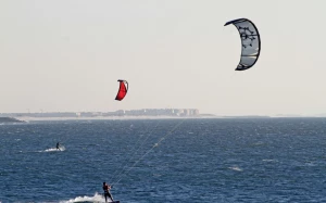 1689cf34-8d70-42f3-bf00-b9841a18f126