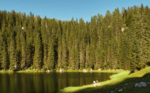 c6e368b1-7f1c-4b49-8097-3723046705a7