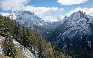 ff8c83d0-b509-40bf-bbd5-14cced3b474c