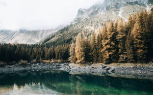 14ac466d-7c29-4393-97d3-1df384acda9e