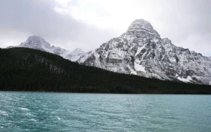 1bc253b2-3ea4-401c-aeb7-fd8f9fecd8d6