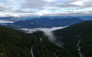 982c81ba-f020-4cbb-a751-7186384a91f7