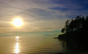 5a99efa8-d771-4368-a252-20bd49355ef2