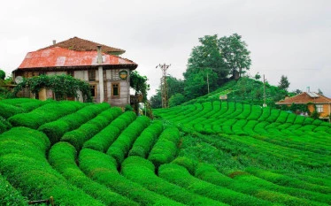 Rize Artvin Airport