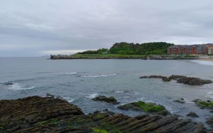 fc6fc954-cf3e-43e2-8677-a0450e39675f