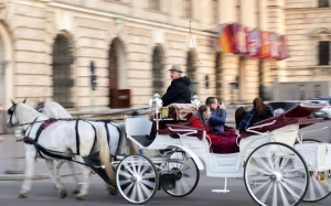 7cf690a5-e613-4d0c-a8d3-0b3ee2487edb