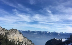 c480f7f3-190a-496e-a7d9-bf32d1dc4c73