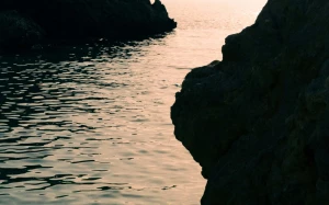 639d5b47-a60c-4af4-8ef2-edecda6af69e