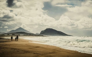 cca6915f-7a47-4efc-94da-56967cd13b23