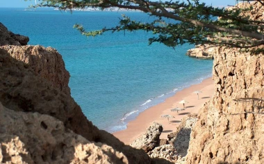 3874f8b4-d84d-4b69-9798-8243cf2e159a