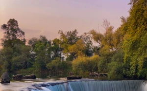 b2640ccc-d9fd-401f-9995-ccdb9abbc5e3