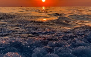 015bf4c6-f246-4ada-9328-519fac4cf406