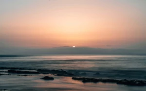 eff52585-1808-400a-a03e-789a0c764bf8