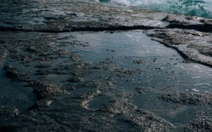 b1ad32e3-26b2-433b-9a13-40c70cae42d8