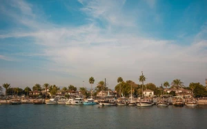 23f629b7-a2db-420f-b458-60484664094c