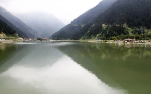 267b4d88-7a2e-4638-bed3-95720e4bc163