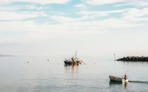 912ca332-c2a0-4e52-bd65-2dc1cd351369