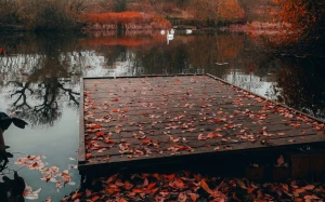 c7413760-1b69-468c-ae79-3462095dcdae